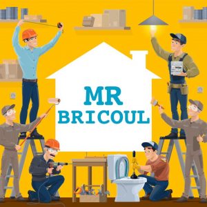 MRBRICOUL MRBRICOUL